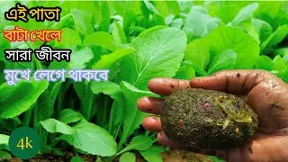 মুখোরোচক এই পাতার বাটা ভর্তা যদি আপনি একবার খান তাহলে আর অন্য কোন রেসিপি মুখে ধরবে না||