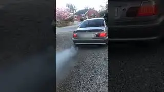 BMW E46 320CD DIESEL FLAMES HARDCUT race2win2021@gmail.com