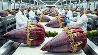 Inside a High Tech banana blossom Factory You&rsquo;ve Never Seen Before