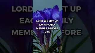 Pray This DIVINE PROTECTION Over Your Family Today 🙏🛡️