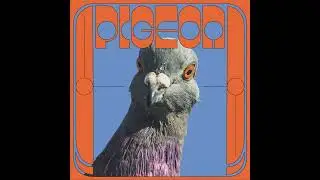 Pigeon - War (Jam)