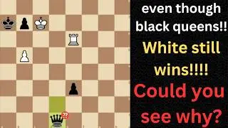 4 Super hard chess puzzles but are fun to solve