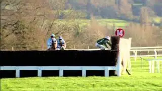 Only Falls and Horses   Racing UK