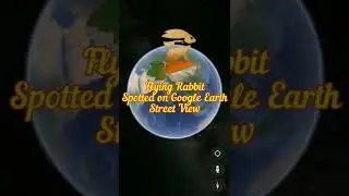 Flying rabbit caught on google earth street view camera #googleearth