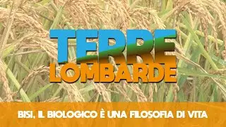Bisi, il biologico è una filosofia di vita - Terre Lombarde - S2 PT33