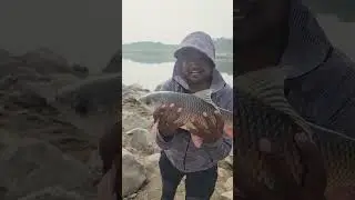 rohu fishing #carpfishing #fishingvideo #shorts #tradingshort #ytshorts