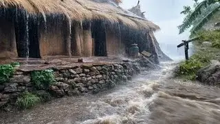 This is Best Life in A Himalayan Village  farming life During the Rainy | All Season 