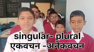 Singular and plural words 