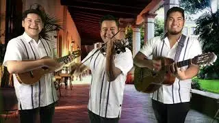 TRÍO HUASTECO ORO HIDALGUENSE”LA HUAZANGA”