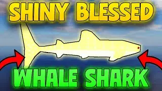 Best Way to Get a SHINY BLESSED Whale Shark in Fisch &ndash; How to Get a Blessed Shiny Whale Shark Fisch