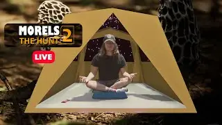 Morels: The Hunt 2