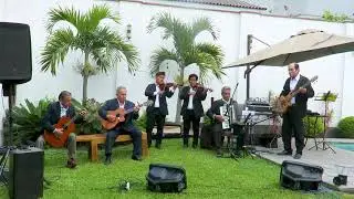 Dolores - Vals - Conjunto Reencuentro Ancashino.
