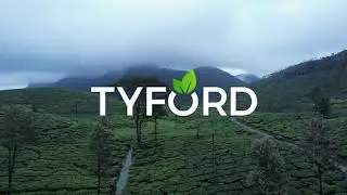 Tyford Tea Estate | Tourist Attraction | Best Holiday Spot In Idukki