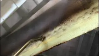 STEAM CLEANING IN A CHOCOLATE FACTORY