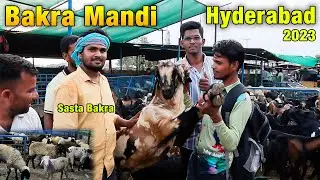 Hyderabad Bakra Mandi || Jiyaguda Goat Market || Qurbani Ka Liye Jaanwar 2023