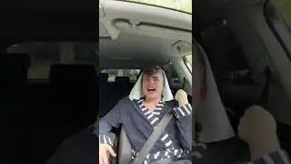 Auto fahren | Lewinray #shorts