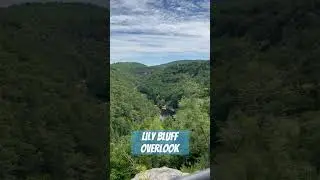 Lily Bluff Overlook #travel #nature #overlook #hike