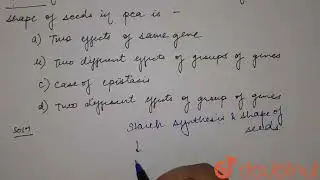 Two traitsthat is starch Synthesis and shape of seed in peais  | 12 | NTA NEET SET 88 | BIOLOGY ...
