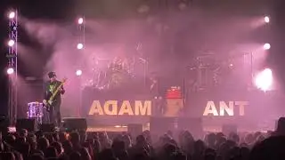adam ant live 1/11/25 - young parisians
