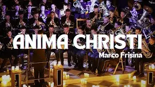 [4K] ANIMA CHRISTI | CONCIERTO LUZ DE VIDA | Virgen de los Reyes | Bajo Palio Caridad
