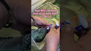 SHOCKING Results in Aquarium Fish with only 2 DROPS of LIFE AAYU Nutro Fit Plus !!