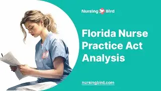 Florida Nurse Practice Act Analysis - Essay Example