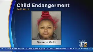 Mother Facing Charges After Children Wandered Unsupervised