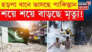 Pakistan Flash Flood : ভারী বৃষ্টি-হড়পা বানে বিধ্বস্ত পাকিস্তান, বাড়ছে মৃত্যু!  দেখুন | N18G