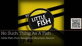 Uncovering the Mountain Beaver: Facts & Laughs Await! #podcast #30Minutes