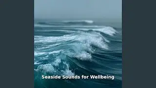 Seaside Sounds and Ocean Water for Wellbeing, Pt.26