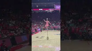 Red Panda Halftime show at the Pit in Albuquerque! 