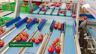 Linea peso minimo combinato per pomodorini &ndash; Apofruit Donnalucata | Bulltec&reg;