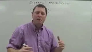 Transduction