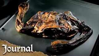 Загадочные тела возрастом 2000 лет обнаружены в ходе выдающегося исторического открытия