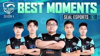 Top Moments - SEAL Esports | PMPL South Asia Season 4