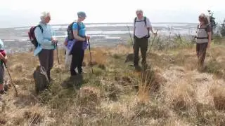 Swansea Ramblers walking on top of Kilvey Hill with panoramic sea views