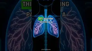 This breathing pattern is a natural tranquilizer for your nervous system. The... #shorts #biohacking