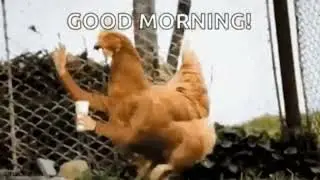 @Du_chats 