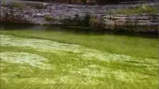 Barton Springs Pool underwater