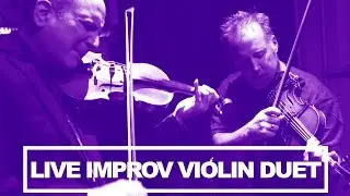 Jazz Violin Duet- w/ Sam Bardfeld (Live)