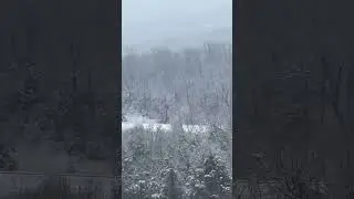 Snow Really Coming Down | Weather Update From Branson Missouri | Snowy Day