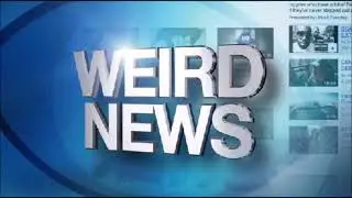 Weekly Weird News #139 (beer goggles don't exist/man set on fire over dog poo)