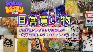 【日常買い物】 日常買い物2軒分/ BE:FIRSTファンミ福岡/ 餃子のラスベガス/ アッシュ君