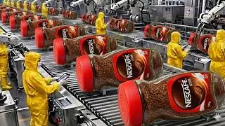 How Nescafe Coffee Is Made in the factory: Instant Coffee Product Process