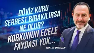 D&ouml;viz Kuru Serbest Bırakılırsa Ne Olur? Korkunun Ecele Faydası Yok | Emre Alkin