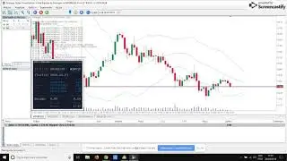 Rob&ocirc; Metatrader 5 (Mini &iacute;ndice)