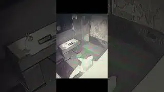 Настоящий сигма не предаст ✊ #portal #tiktok #давайвквест
