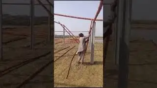 Cattle Farm Construction