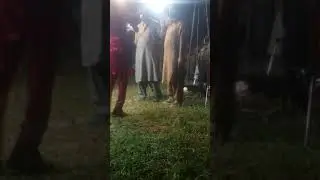 swat dagay parogram