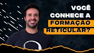VOC&Ecirc; CONHECE A FORMA&Ccedil;&Atilde;O RETICULAR?